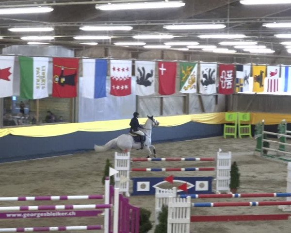 Reitturnier Erlen 2019