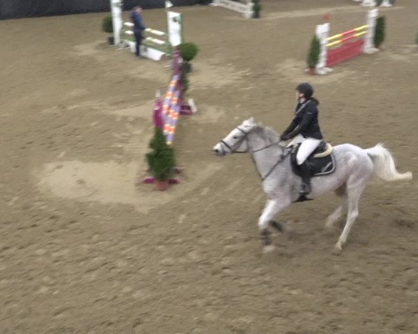 Reitturnier Erlen 2019