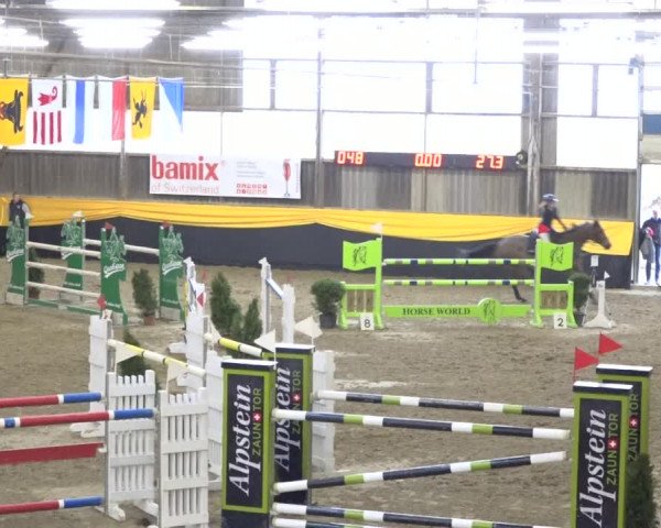 Reitturnier Erlen 2019