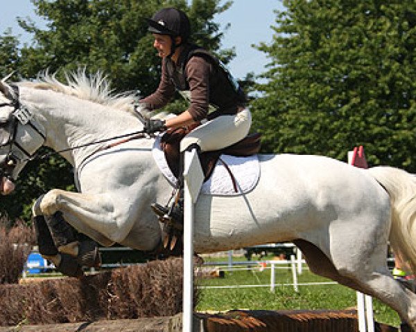 broodmare Jacaranda du Coty (Selle Français, 1997, from Calypso d'Herbiers)