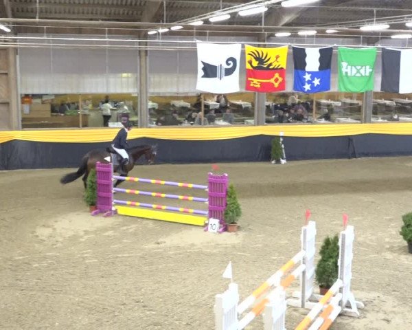 Reitturnier Erlen 2019