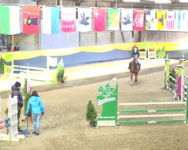 Reitturnier Erlen 2019