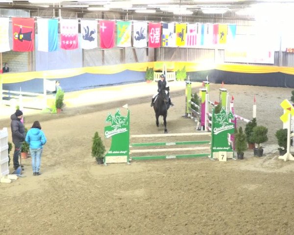 Reitturnier Erlen 2019