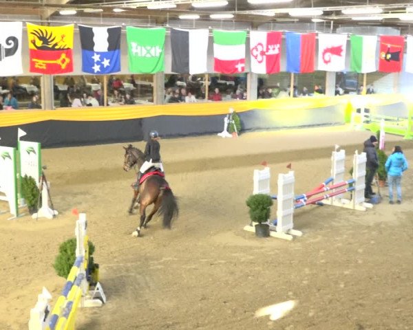 Reitturnier Erlen 2019