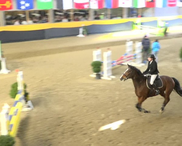Reitturnier Erlen 2019
