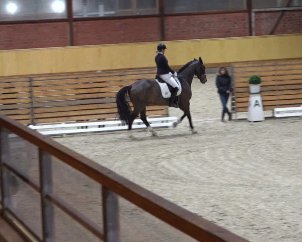 Reitturnier Hamburg-Friedrichshulde/Sylva Kuhrt 2021