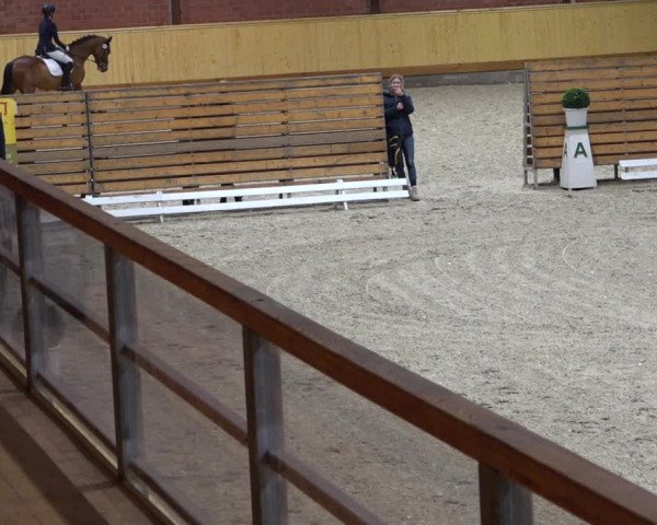 Reitturnier Hamburg-Friedrichshulde/Sylva Kuhrt 2021