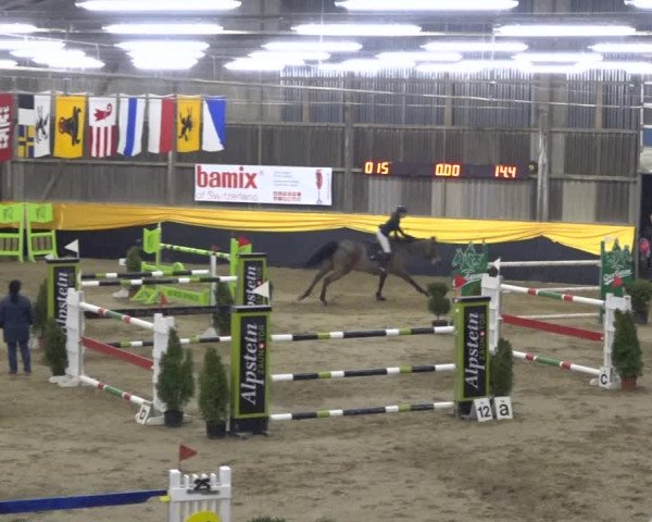 Reitturnier Erlen 2019