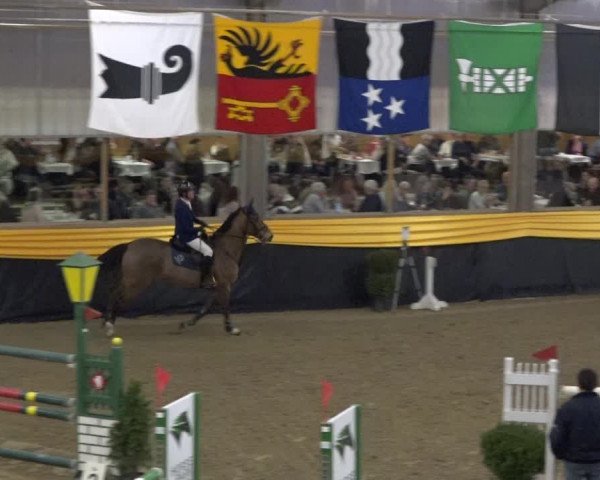 Reitturnier Erlen 2019