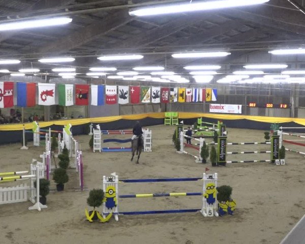 Reitturnier Erlen 2019