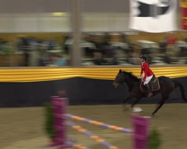 Reitturnier Erlen 2019