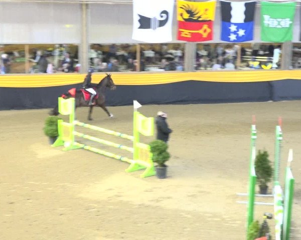 Reitturnier Erlen 2019