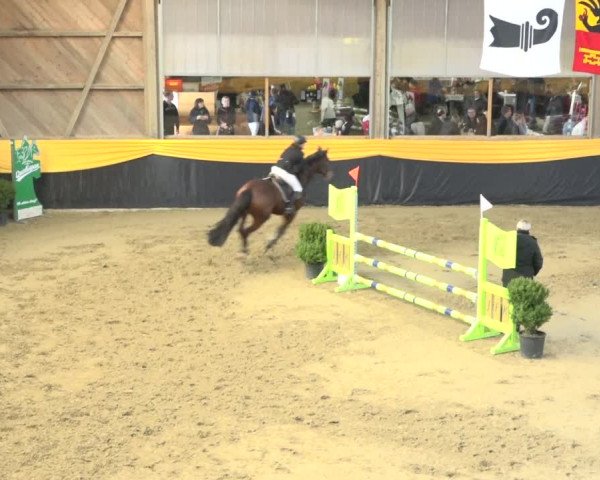 Reitturnier Erlen 2019