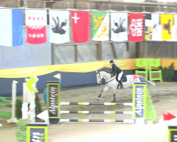 Reitturnier Erlen 2019