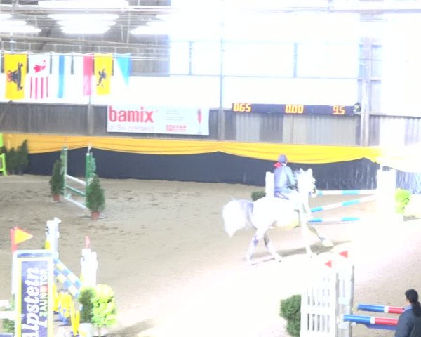 Reitturnier Erlen 2019