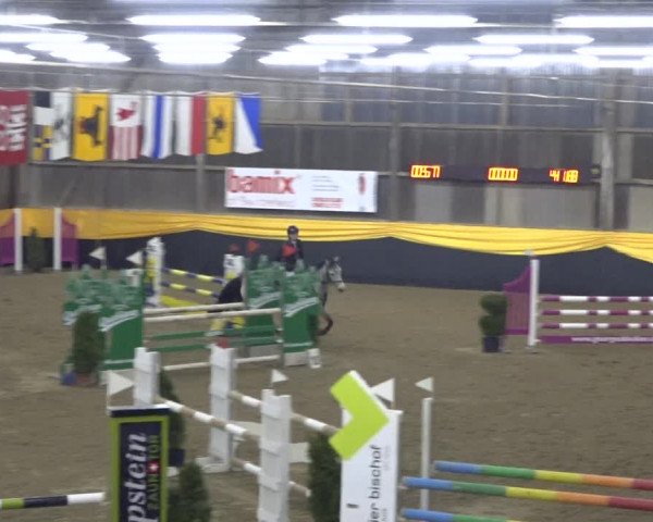 Reitturnier Erlen 2019