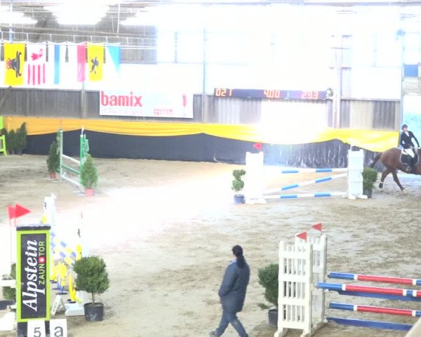 Reitturnier Erlen 2019