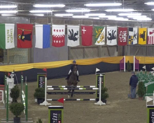 Reitturnier Erlen 2019