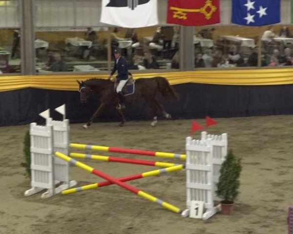 Reitturnier Erlen 2019