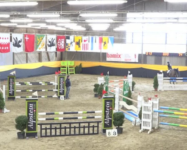 Reitturnier Erlen 2019
