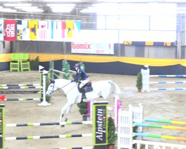 Reitturnier Erlen 2019