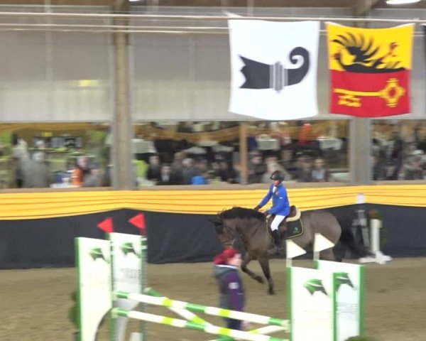 Reitturnier Erlen 2019