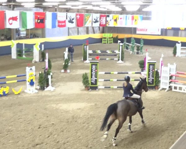 Reitturnier Erlen 2019