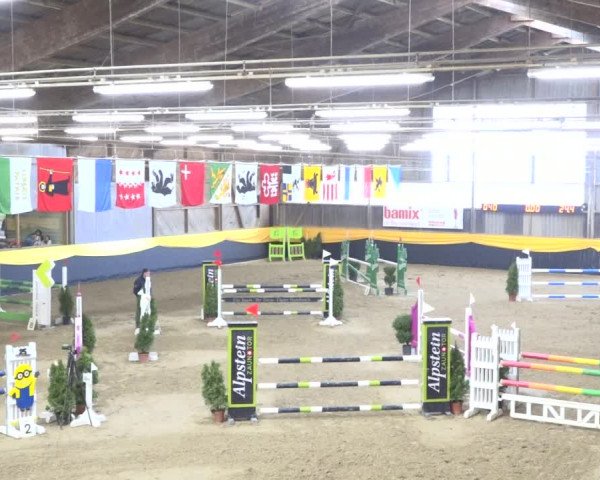 Reitturnier Erlen 2019