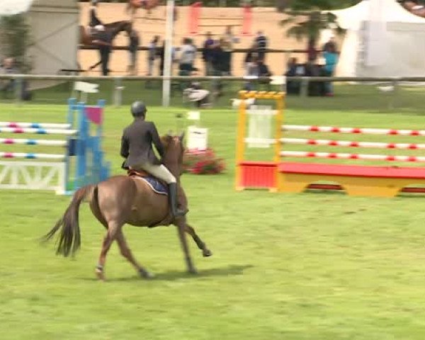 horse Vanilla du Coty (Selle Français, 2009, from Gastronom de Hus)