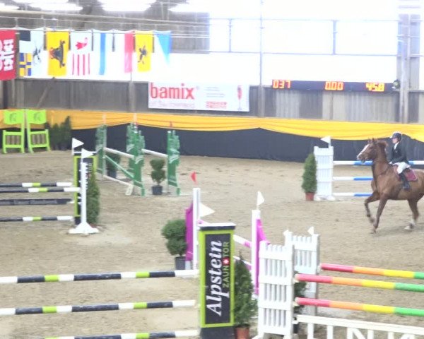 Reitturnier Erlen 2019