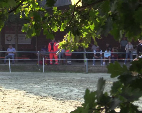 Reitturnier Ascheberg 2021