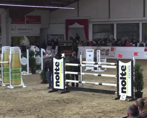 Reitturnier Borken 2019