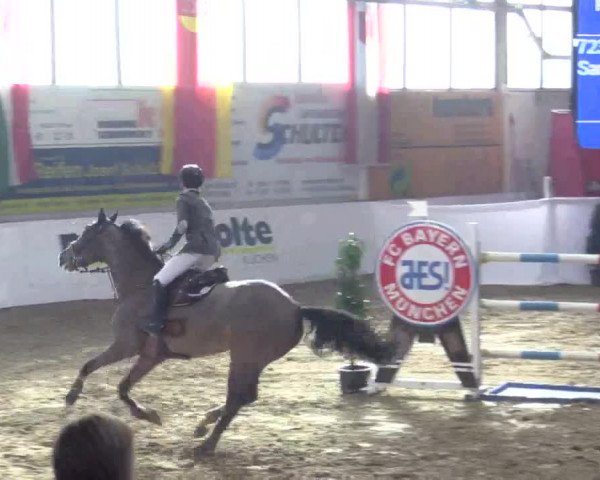 Reitturnier Borken 2019