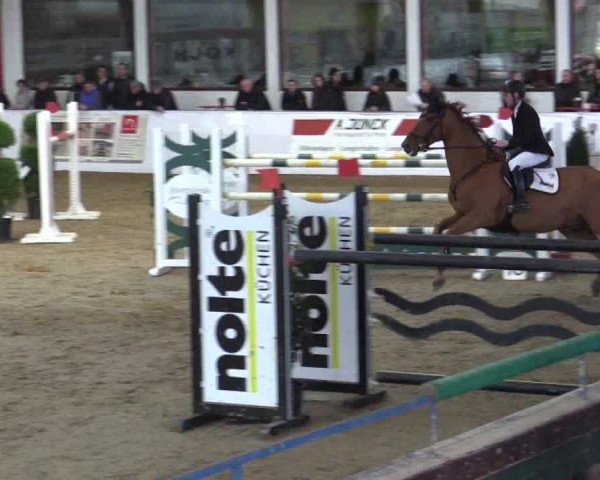 Reitturnier Borken 2019