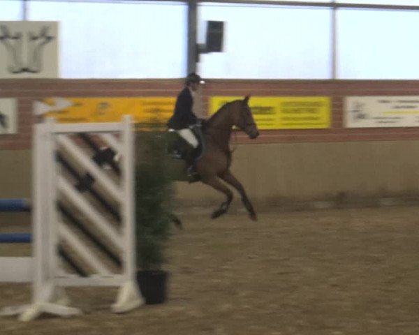 Reitturnier Lembeck 2019