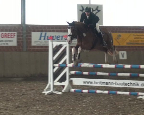 Reitturnier Lembeck 2019