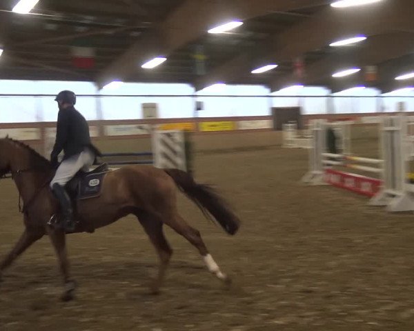 Reitturnier Lembeck 2019