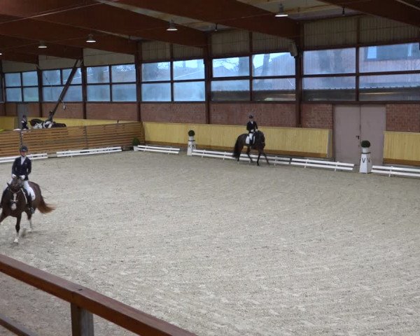 Reitturnier Hamburg-Friedrichshulde/Sylva Kuhrt 2021