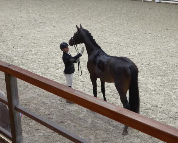 Reitturnier Hamburg-Friedrichshulde/Sylva Kuhrt 2021