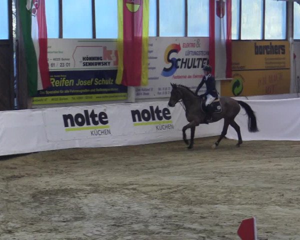 Reitturnier Borken 2019