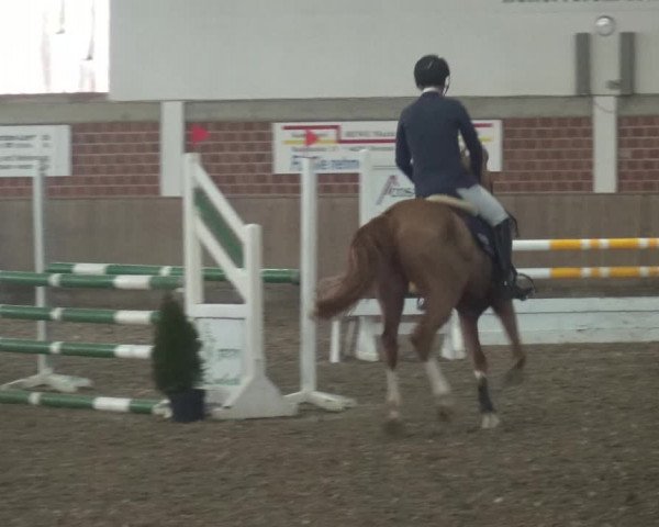 Reitturnier Lembeck 2019