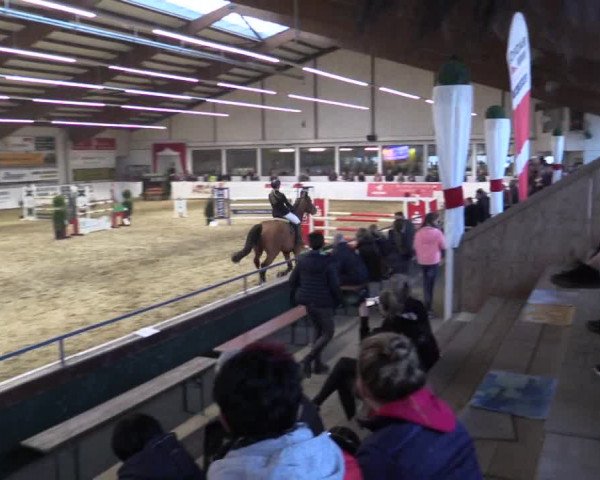 Reitturnier Borken 2019