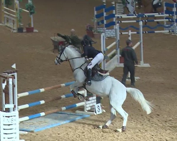 Reitturnier Kreuth/Opf. 2019