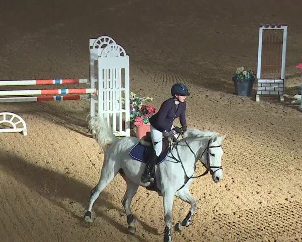 Reitturnier Kreuth/Opf. 2019