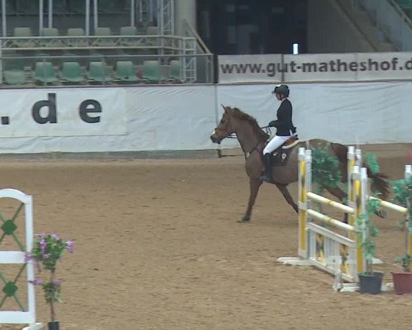 Reitturnier Kreuth/Opf. 2019
