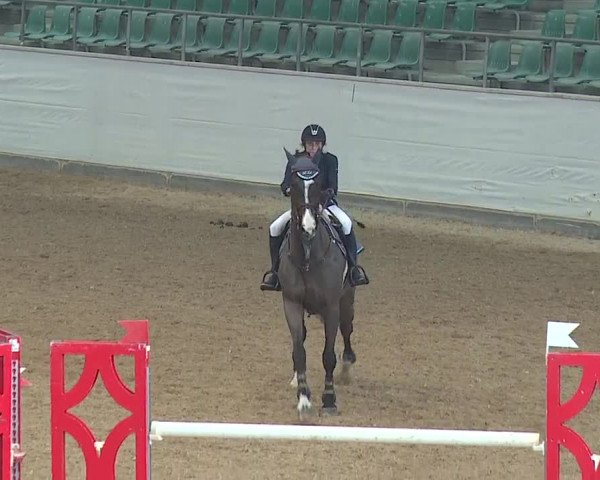Reitturnier Kreuth/Opf. 2019