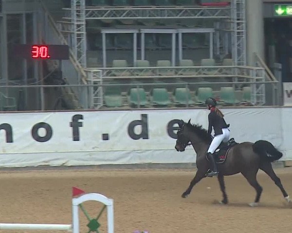 Reitturnier Kreuth/Opf. 2019