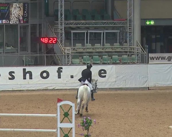 Reitturnier Kreuth/Opf. 2019