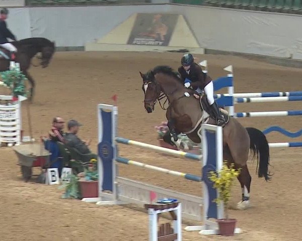 Reitturnier Kreuth/Opf. 2019