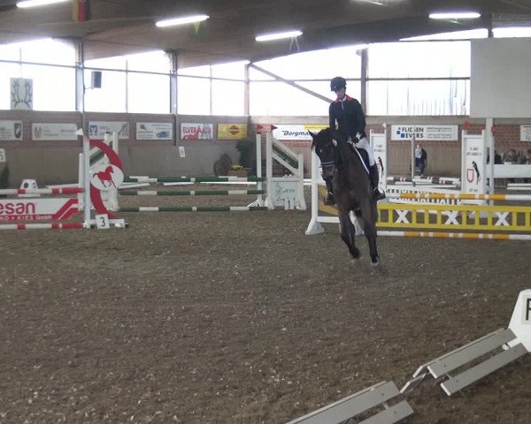 Reitturnier Lembeck 2019